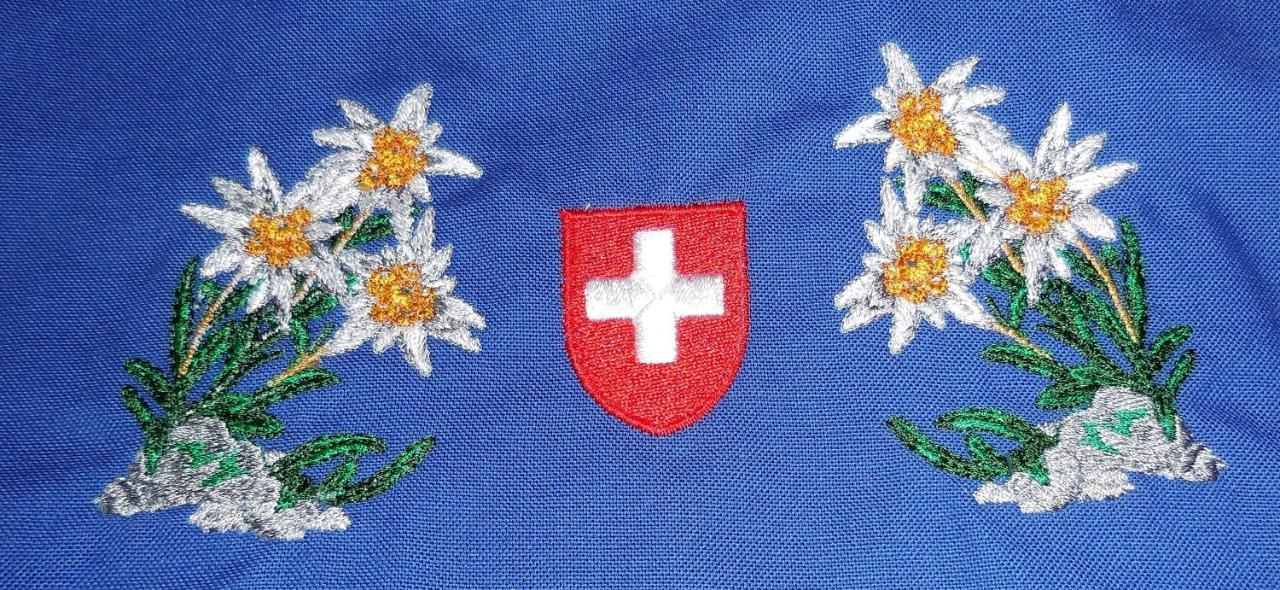 Swiss Chalet Style Цюрих Екстер'єр фото